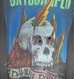 David Lee Roth 1988 Skyscraper Tour Shirt - Faded AU