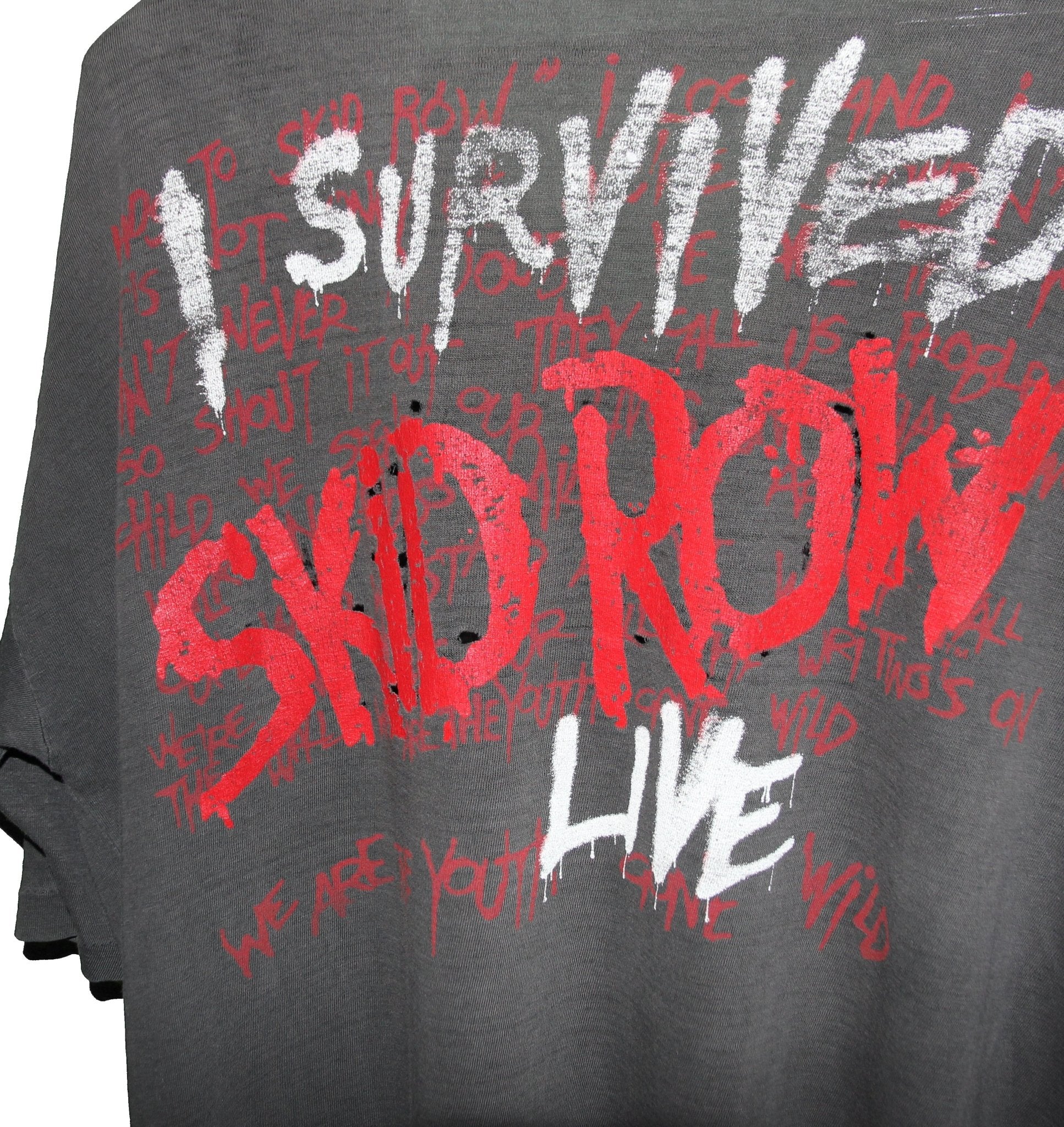 Skid Row 1990 I Survived Skid Row Live Tour Shirt - Faded AU